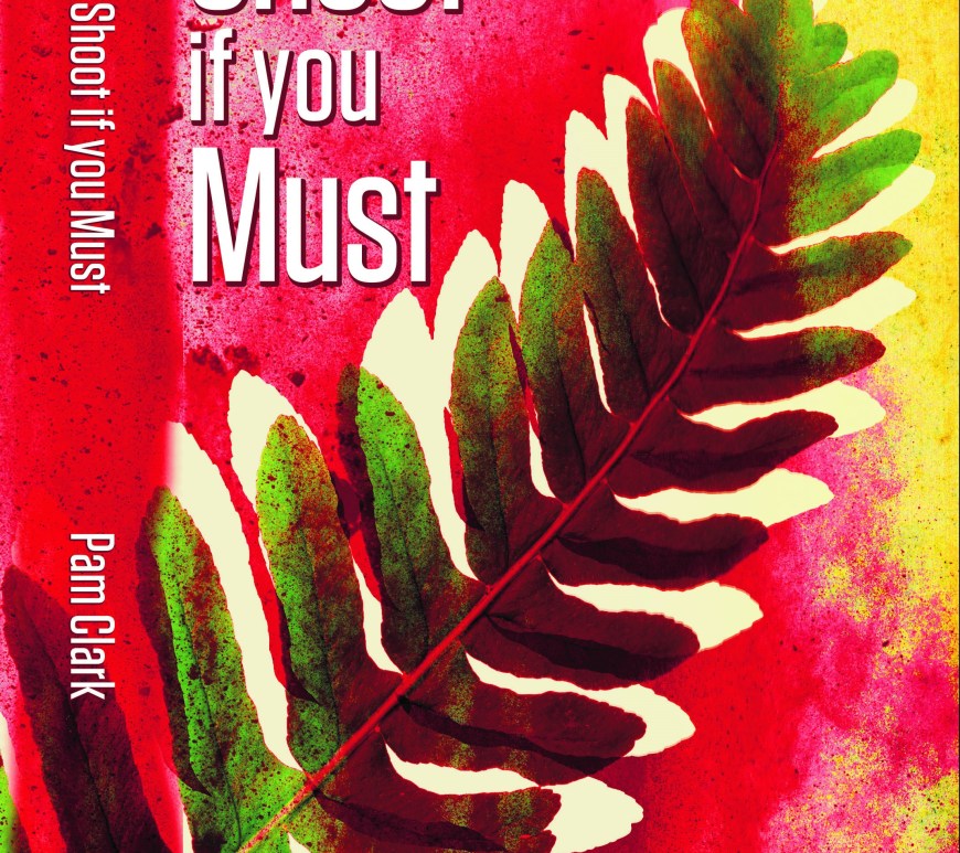 Shoot if you Must cover