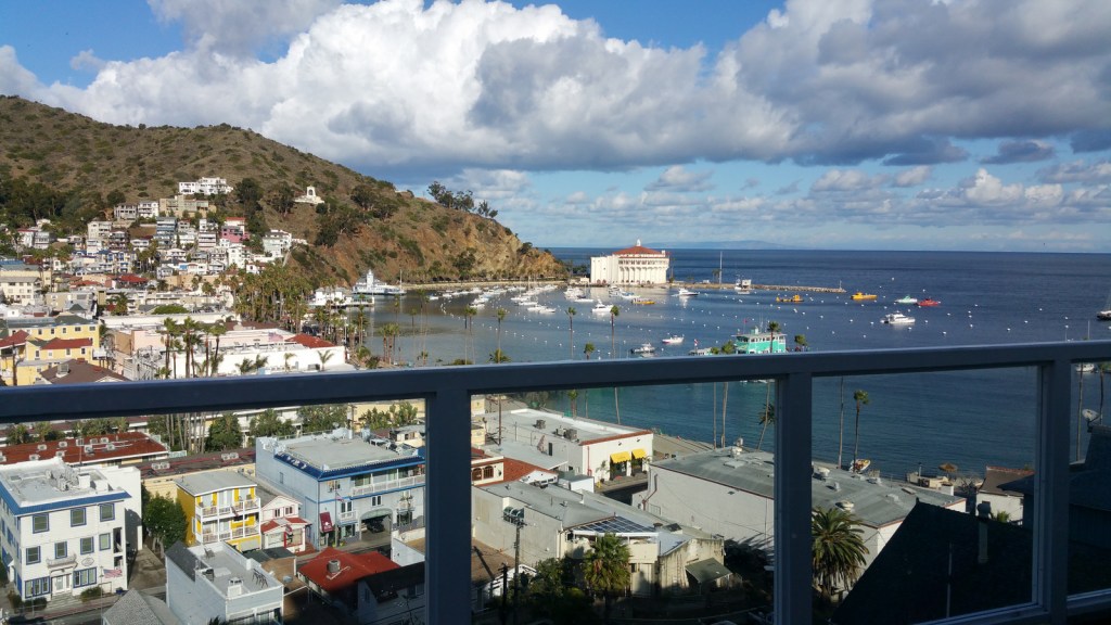 Picture of Catalina from patio