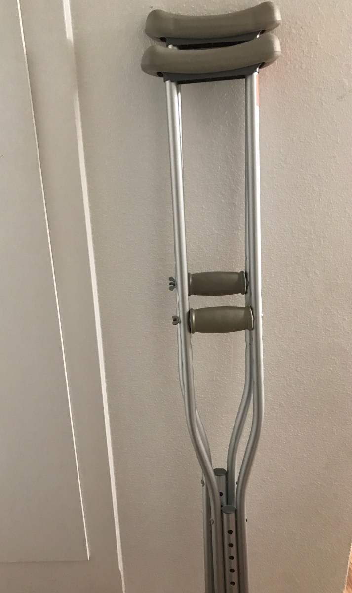 Interpreting Common Phrases Chicks on the Case